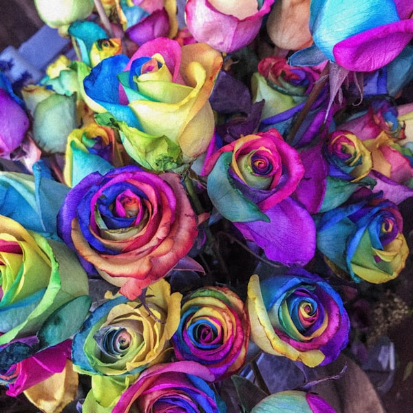 علبة الوردة الواحدة